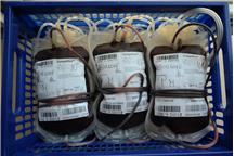 Pracownicy SNG oddali krew