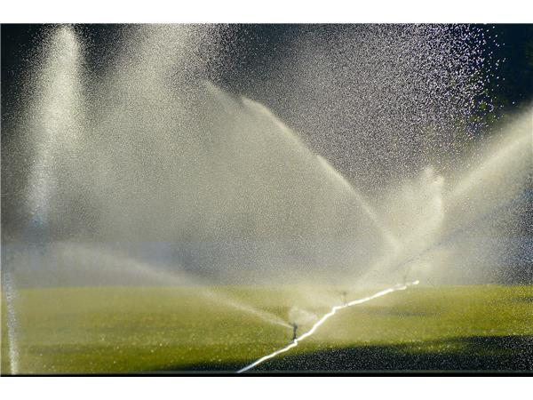 lawn-irrigation-2456123_1920.jpg