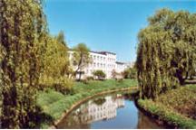 Sosnowiec: samorząd zamierza przejąć akcje Wodociągów Sosnowiec: samorząd zamierza przejąć akcje Wodociągów