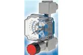ROTAMETR METALOWY TYPU M21 Tecfluid
