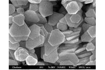 Cząstki nanosrebra szkodliwe dla bakterii osadu czynnego