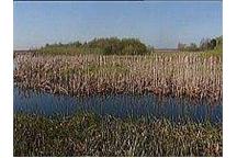 Wysycha Narew Wysycha Narew