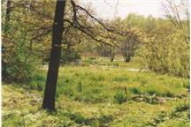 Na terenie gminy znajdują się cenne przyrodniczo obszary Natura 2000 Na terenie gminy znajdują się cenne przyrodniczo obszary Natura 2000