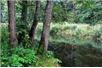 Inwestycje nad Rospudą