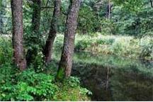 Inwestycje nad Rospudą Inwestycje nad Rospudą