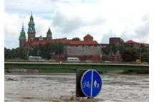 Nie będzie epidemii, ale będą zatrucia