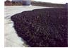 W Podczerwonym zalega 750 ton osadu