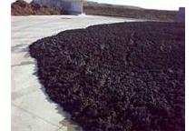W Podczerwonym zalega 750 ton osadu W Podczerwonym zalega 750 ton osadu