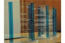 Nagroda dla kampanii reklamowych Aquanet Nagroda dla kampanii reklamowych Aquanet